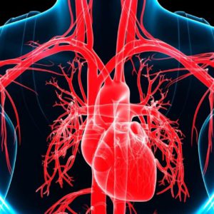 Congenital Heart Defect Awareness Day