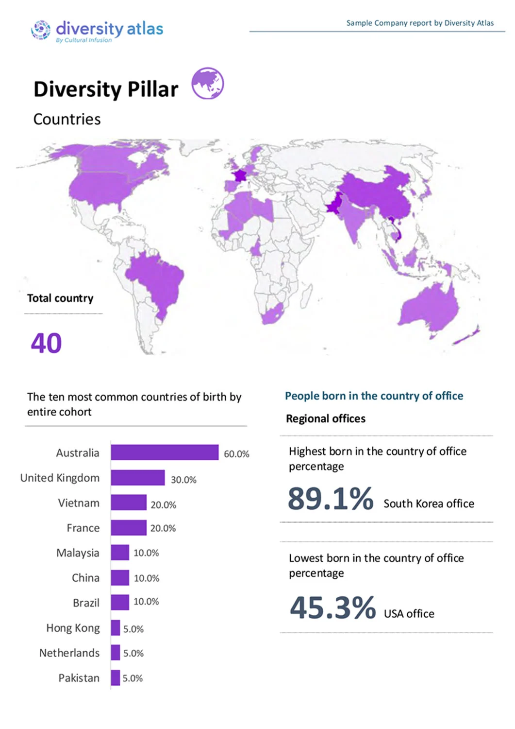 Sample Report: Diversity Pillar